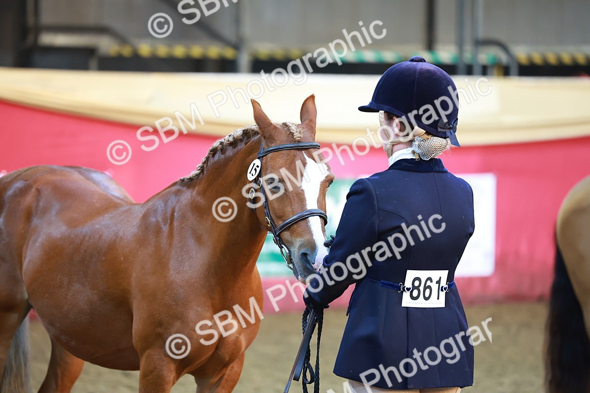 SBM_14716 - Class B - Junior Champ 11 to 16 Years