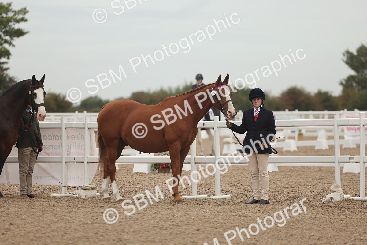 SBM_00475 - Class 13 Young Handler