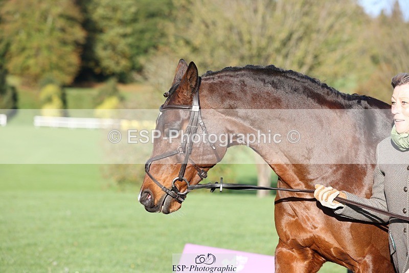 241027-090734-15055 - 453-Caroline.Davies-HAPPY.H