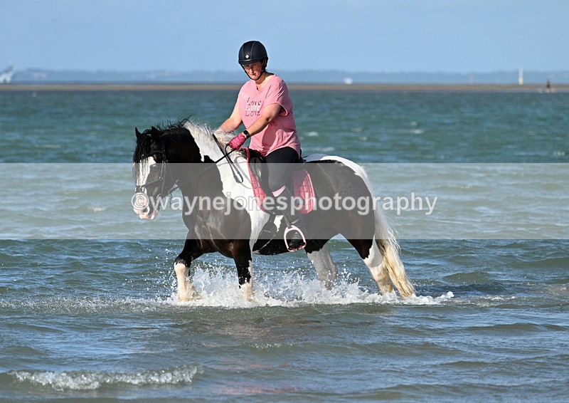 WJ7_3628 - Kellie & Churchill ... do Hayling Island 25-08-24