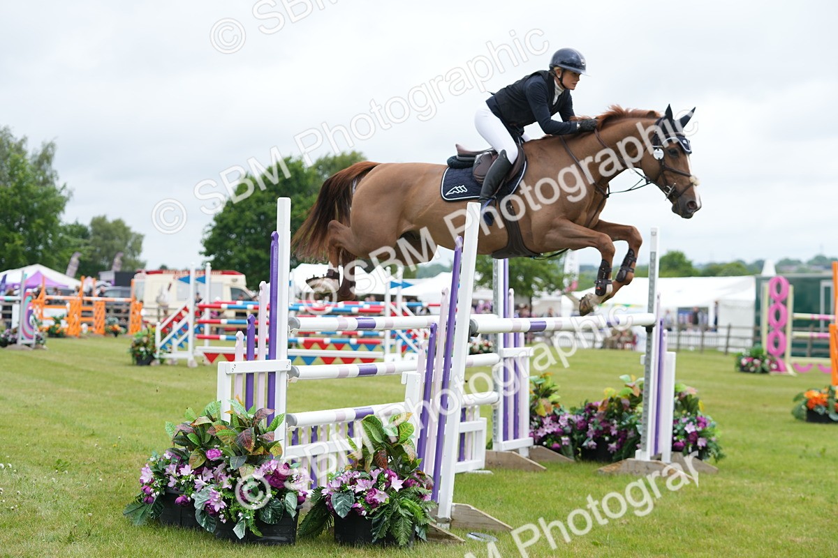 SBM_03186 - Class 201 - British Horse Feeds Speedi Beet Horse of the Year Show Grade  C
