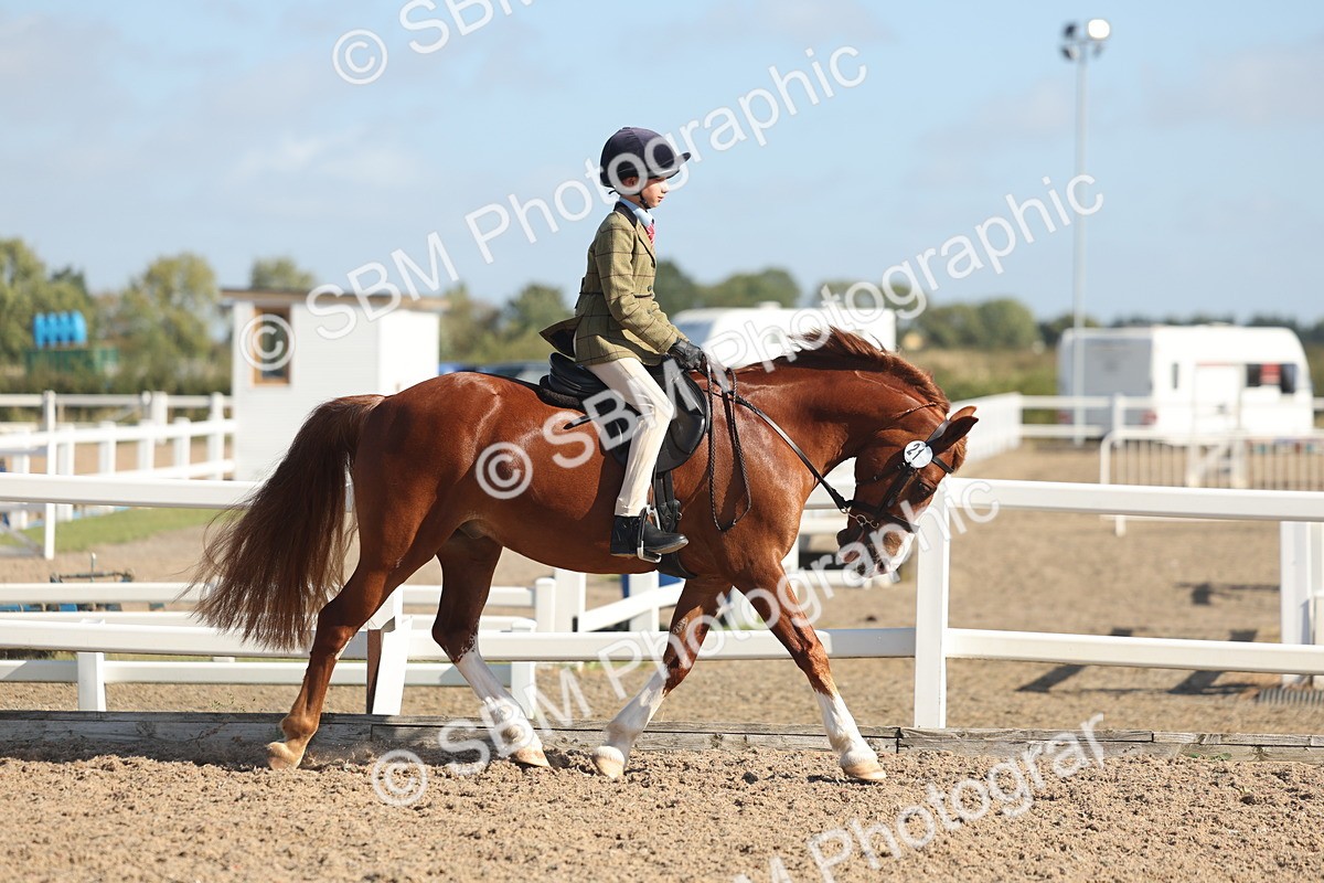 SBM_22600 - Class 804 - Ridden Veteran Pony