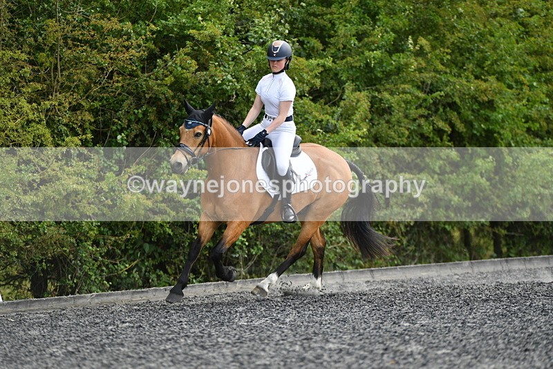 WJ5_1020 - Time 13:45 to 14:20