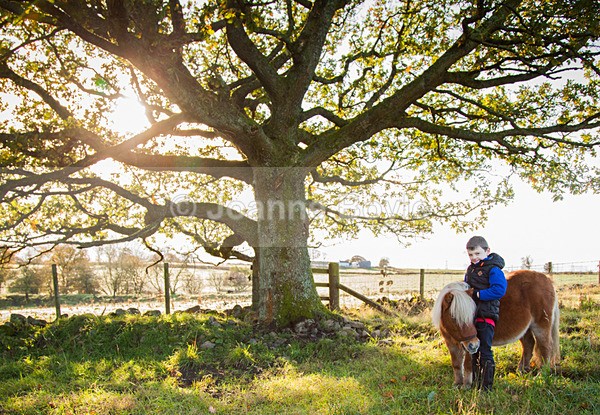 Boy & shetland pony - Equine Gallery Portfolio