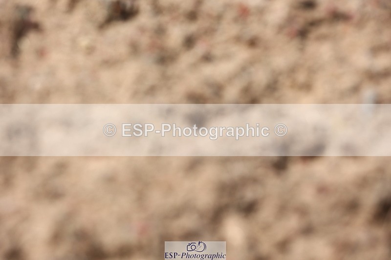 240621A-142149-04435 - Cls 19 BD FEI Intermediate I