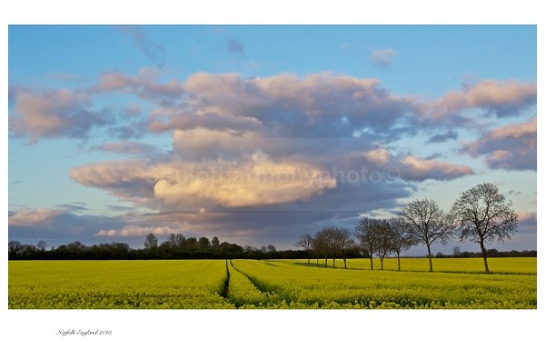 Norfolk Clouds - Landscape