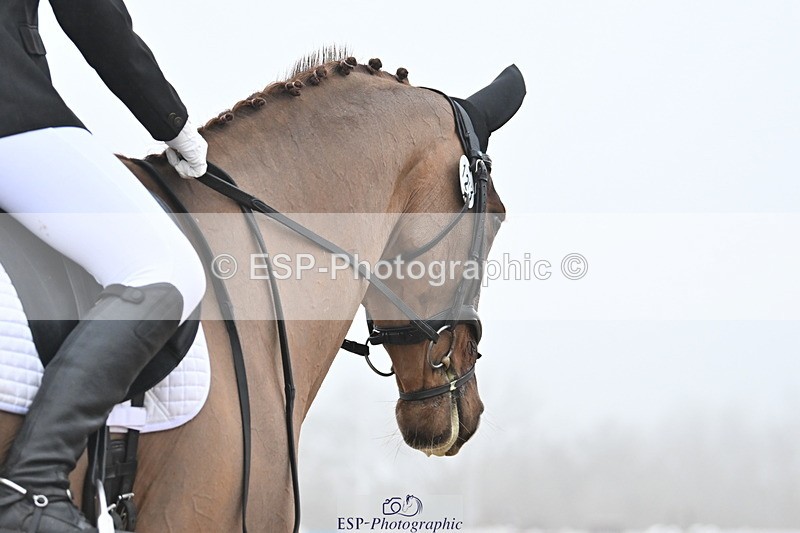 240217A-094929-00455 - 123-Daisy.Hedges-Felicia.v