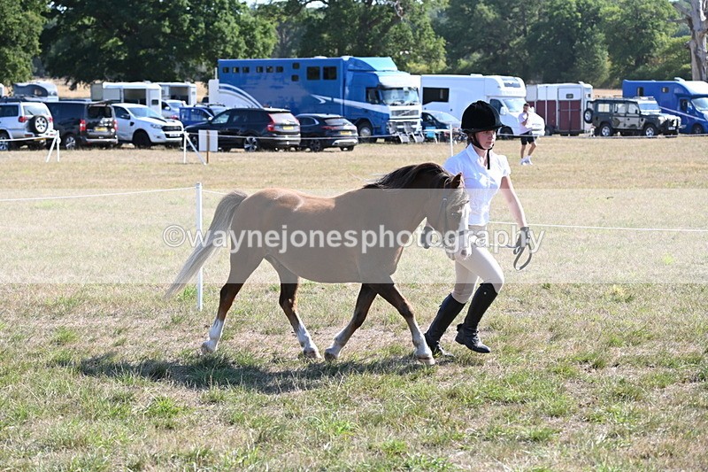 WJ6_7496 - Class 34 Judges Choice