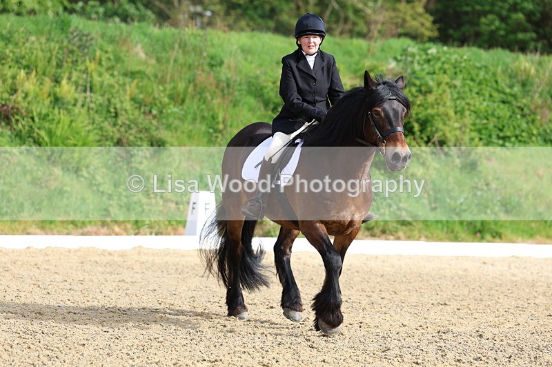 3E7A3322 - Class 2: INTRO B- INTRO 3 2024