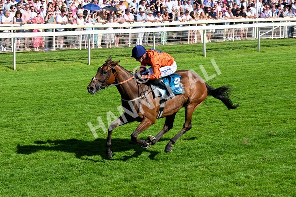 120725-Race 6-Terrorise-0507 - Race 6 4.45pm John Smith's Stayers' Handicap
