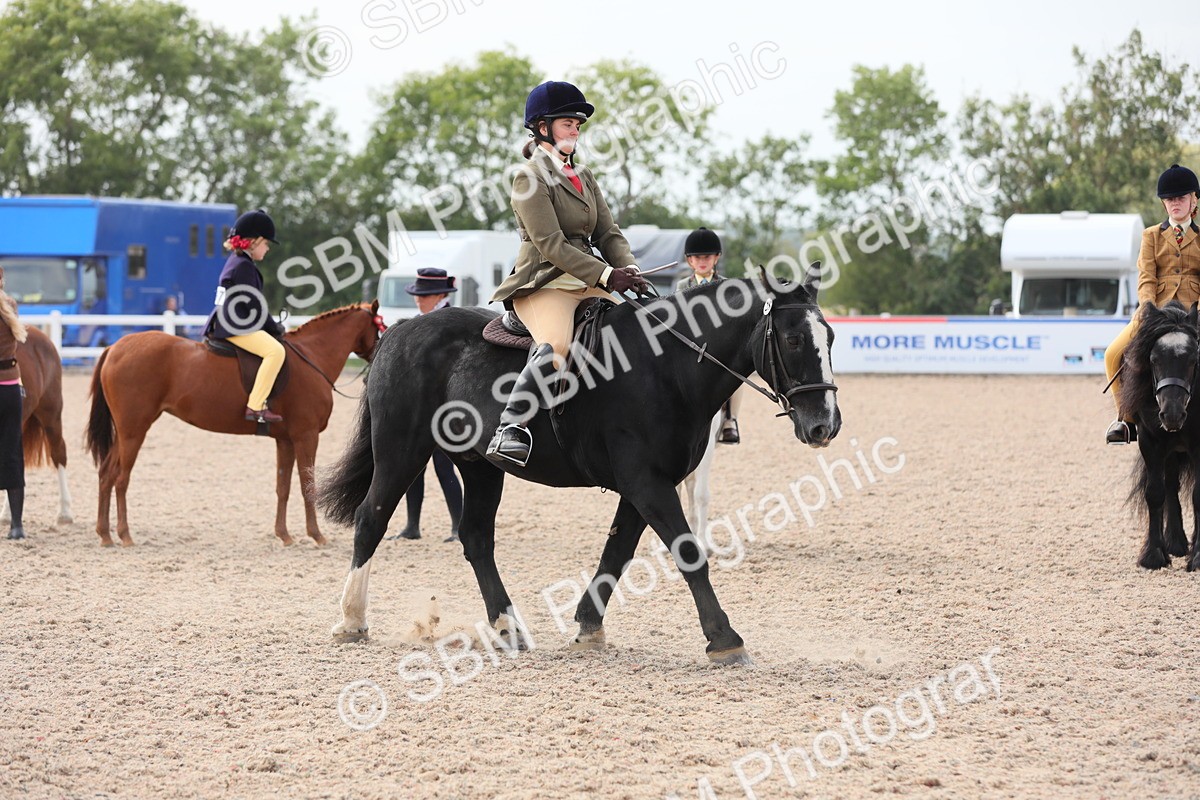 SBM_17025 - Class 314 Family Horse/Pony