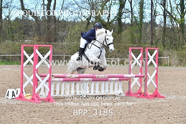 BPP_3185 - CLASS 2 Club/ Unaffiliated 80cms Open