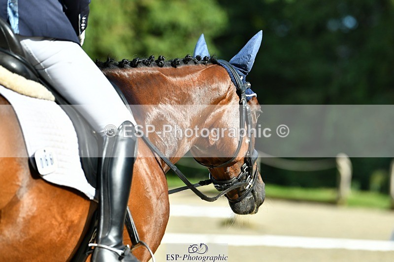 230623-172033-03011 - Cls 9 Advanced Medium 91Q