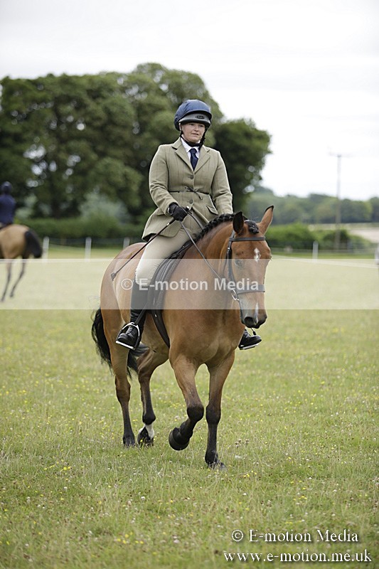 BVR160717-787 - Ring 1 BVRC Show 16/07/17