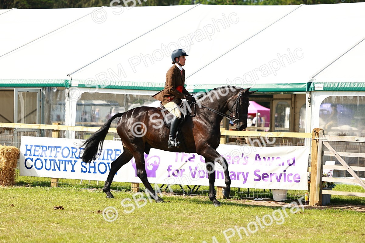 SBM_11926 - Class 66-69 - RIHS Ridden Hunters Inc Small Hunter
