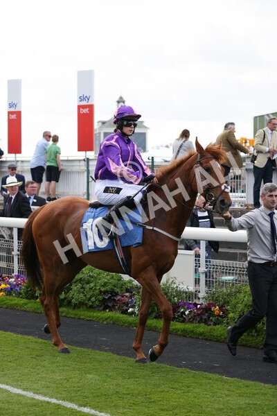 yr11062022r2-54 - Race 2 2.00pm Queen Mother's Cup