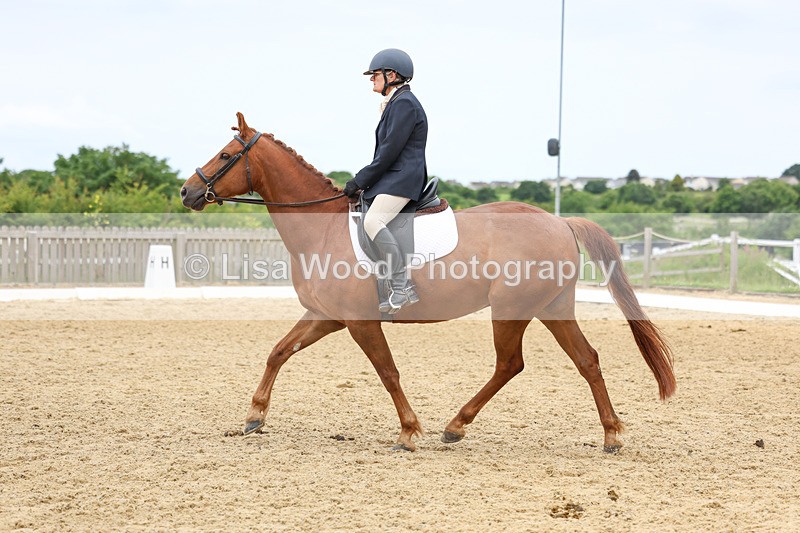 3E7A9397 - Class 2: Intro 1 2024 Section B