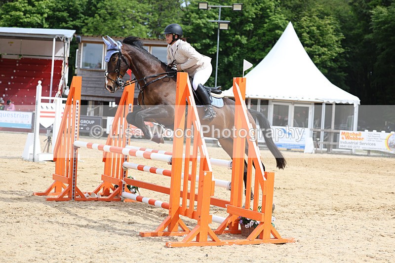 3E7A8660 - Class 4: Senior British Novice/90cm open