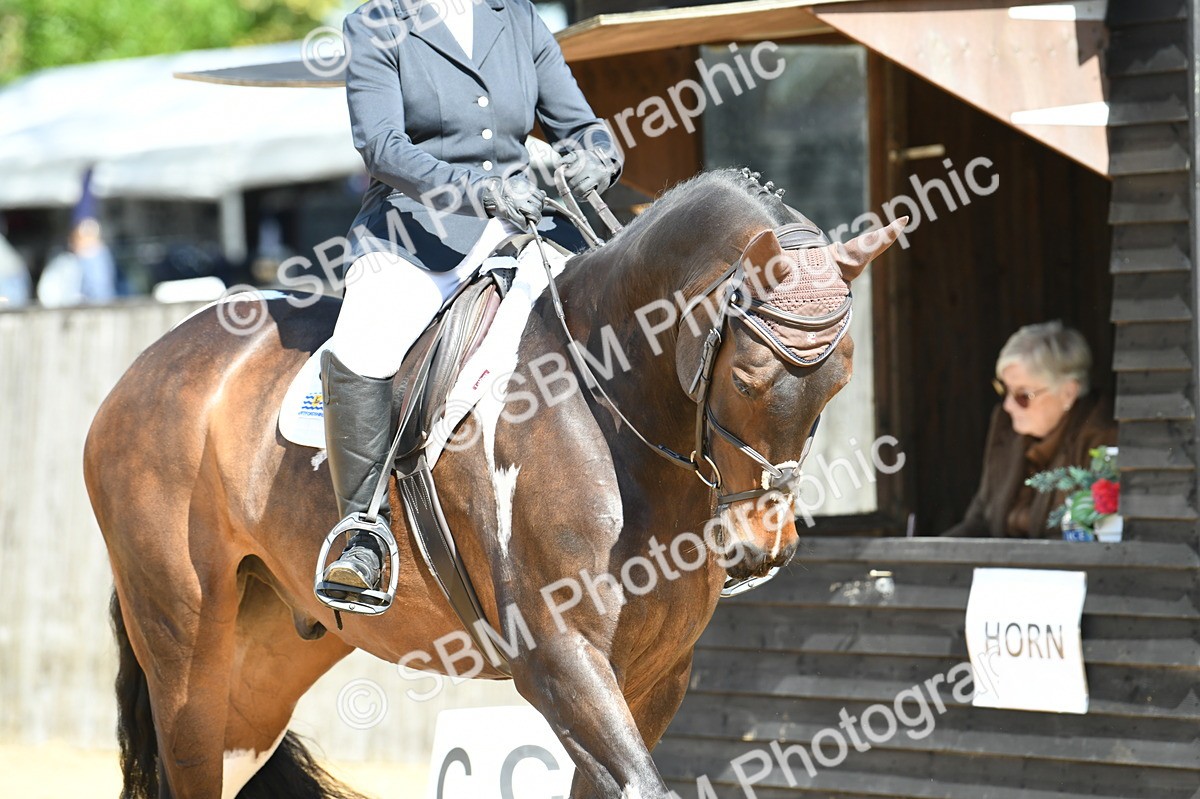 SBM_07182 - D15 Small Tour Championship Novice 24