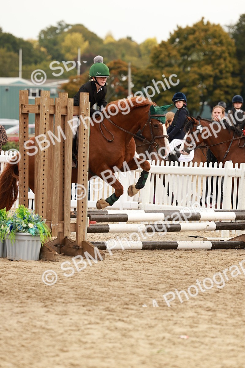 SBM_57650 - J11 - Junior Pony 50cm Championship