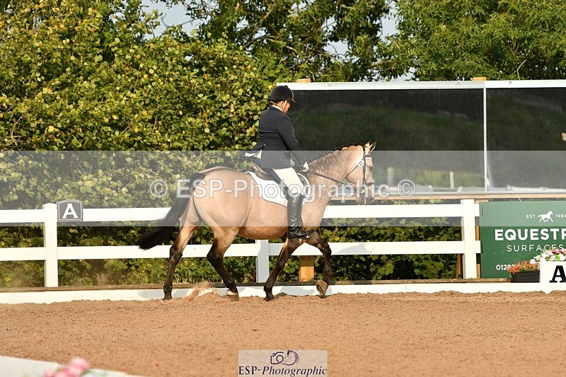 250817-092510-06906 - 082-Sarah.DavisWinston.Classic.Gold