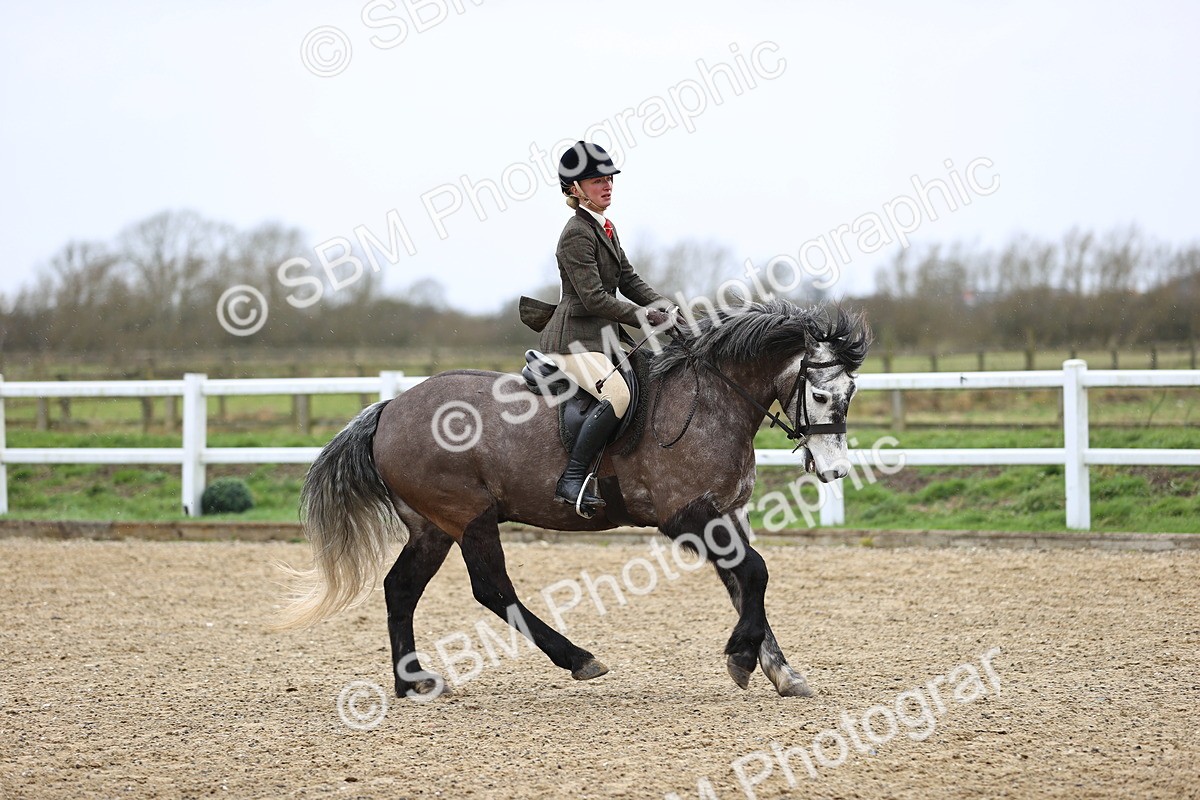 SBM_007534 - Class 31-32 - M&M Confined Novice Small-Large