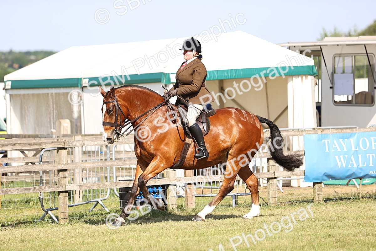 SBM_19636 - Class 87-88 - RIHS BSHA Riding Horses