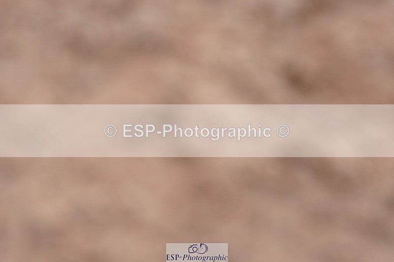 240720A-110516-14258 - Cls 3, 3 Star Small Tour 1.40m