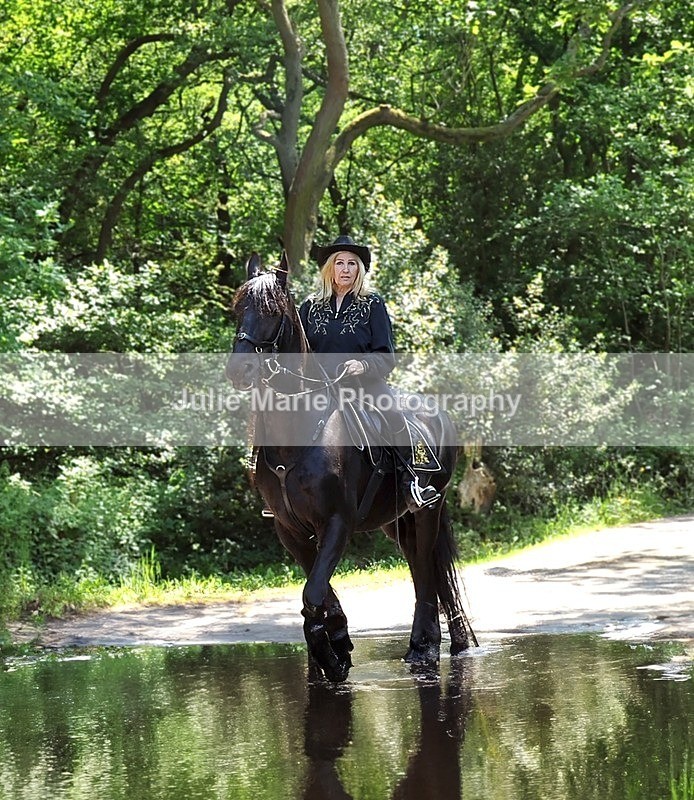 DSC_9202dfg - Equine Photography