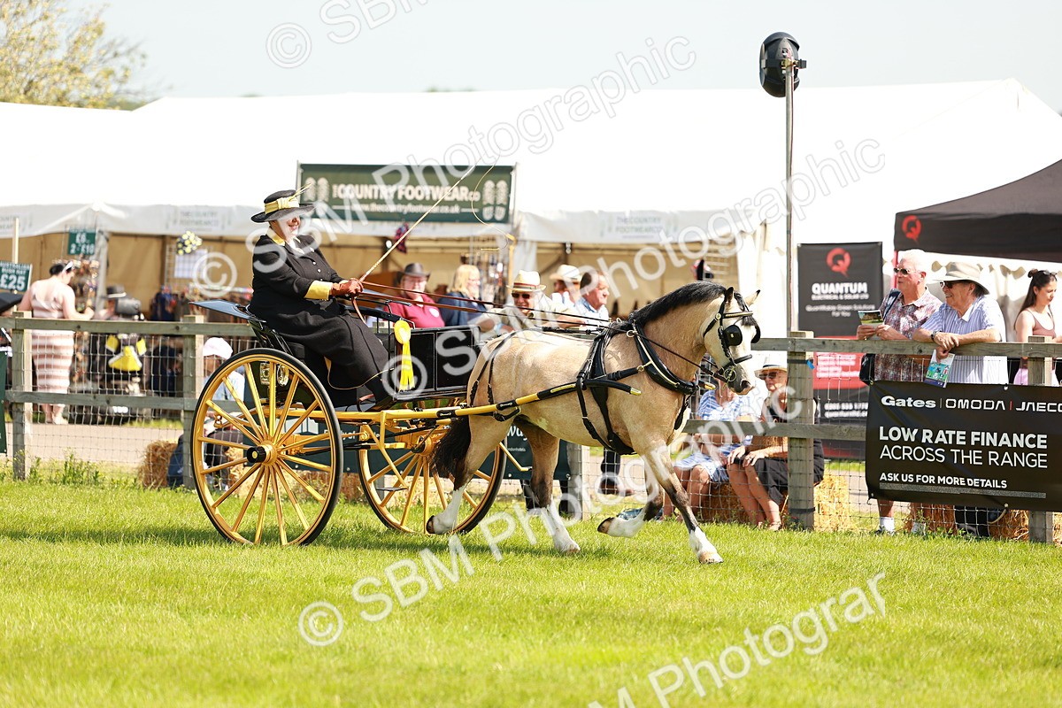 SBM_02753 - Class 2-4 - HOYS Private Driving