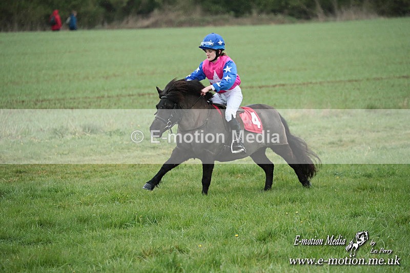 SHETPR 210425 112 - Shetland Ponies Paxford Races 21/04/25