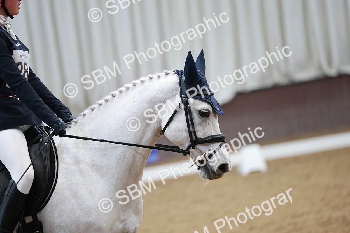 SBM_004603 - Ring 3 - International -  Working Hunter Classes 23-2-25
