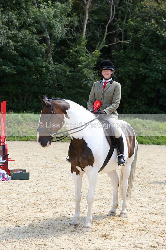 1X9A8842 - Class 19: Riding Club Horse