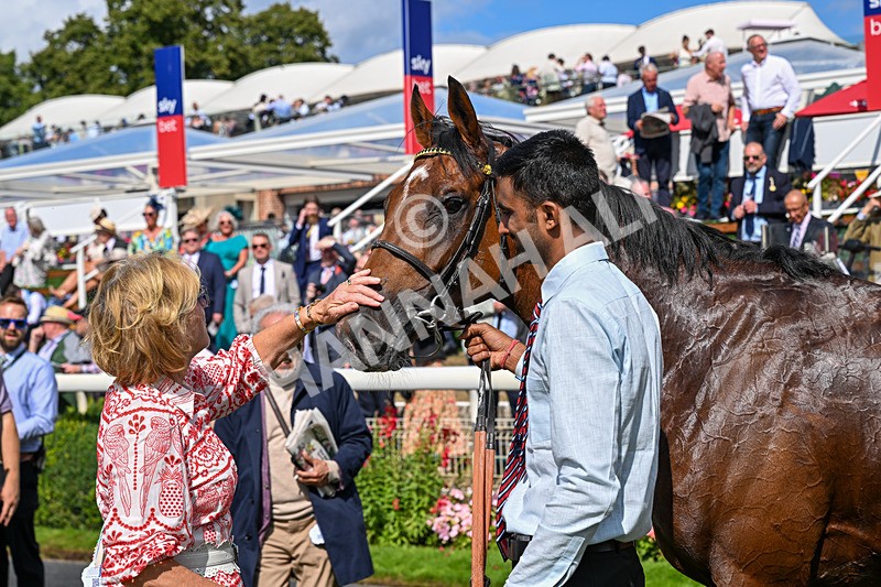 220826-Race 2-Infraad-2770 - Race 2 14.25pm Sky Bet Melrose Handicap