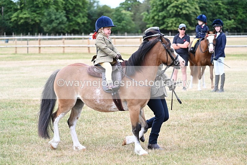 WJ7_9800 - Class 1 Lead Rein Pony