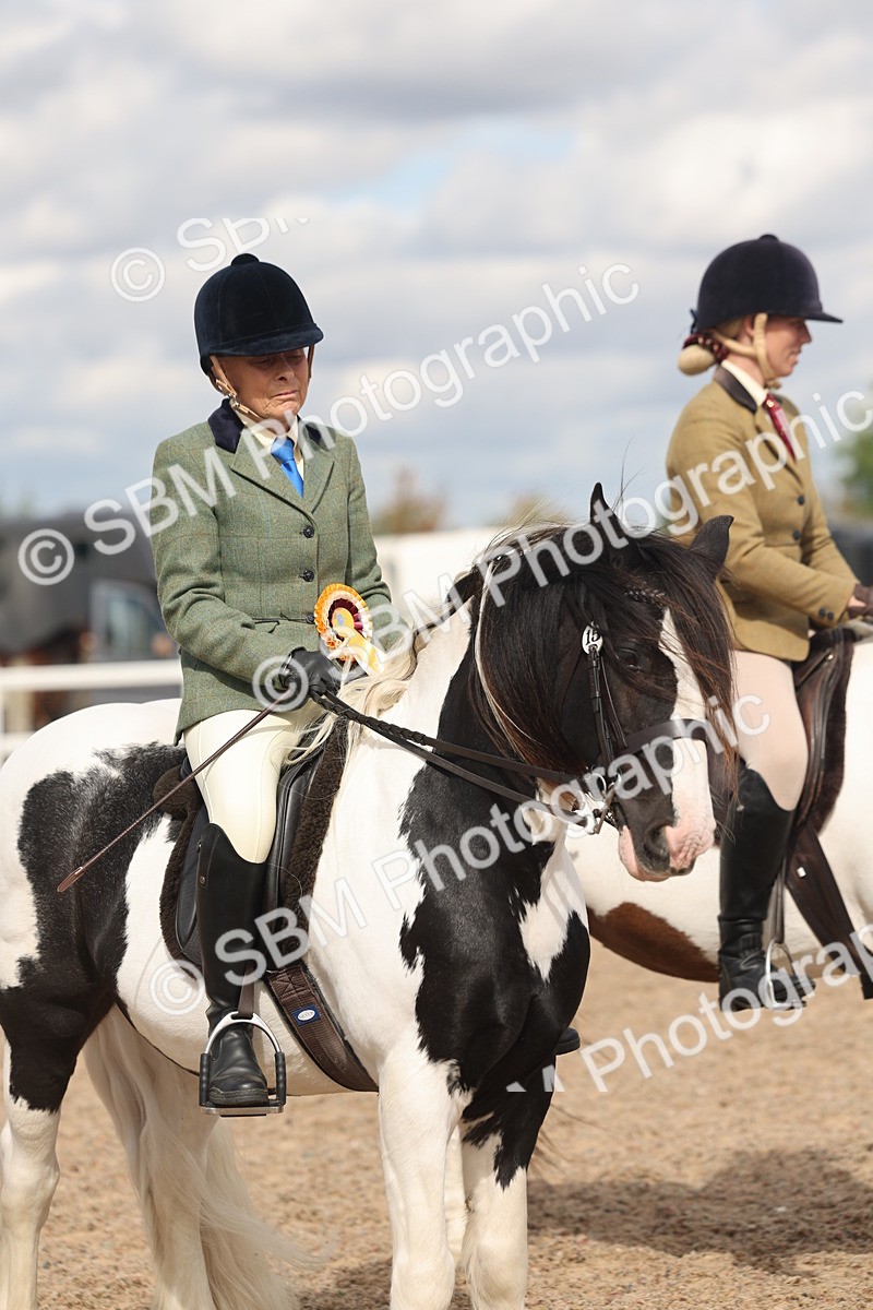 SBM_14697 - Class 307 - Ridden Coloured Pony