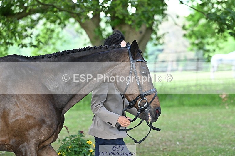 250521A-170205-01483 - C-280-Ryo.Murata-BROOKPARK.VIKENTI