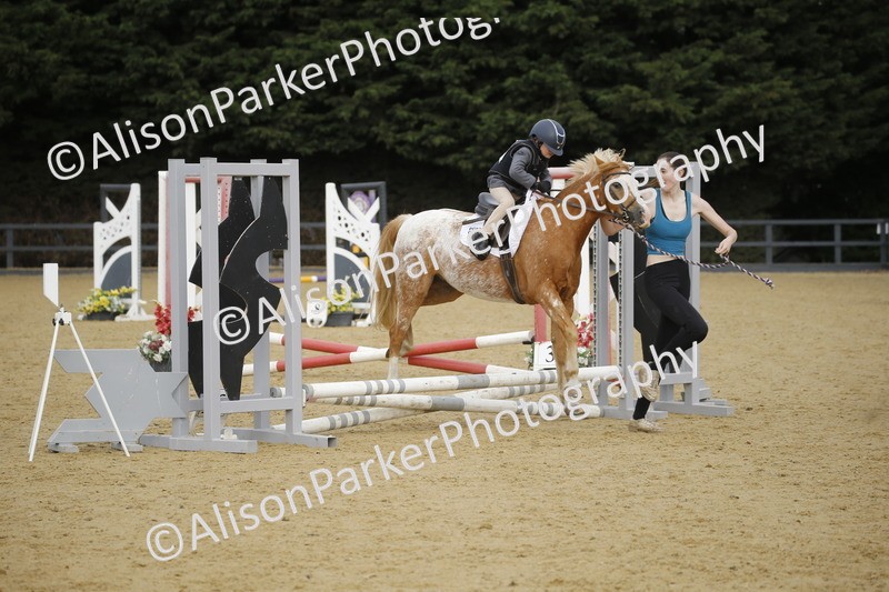 20250622-1326 - 40cm