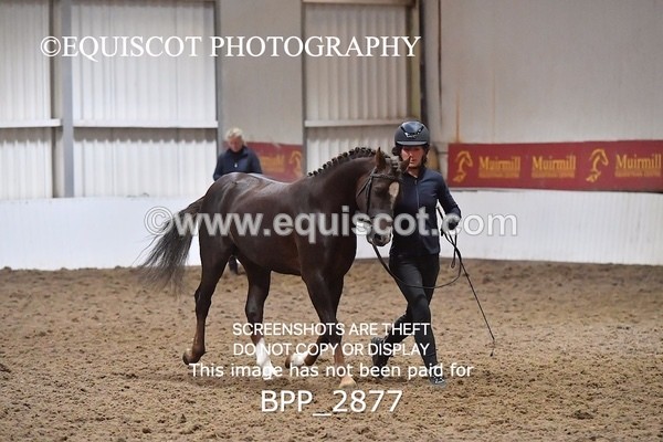 BPP_2877 - LOOSE JUMPING / SPSS