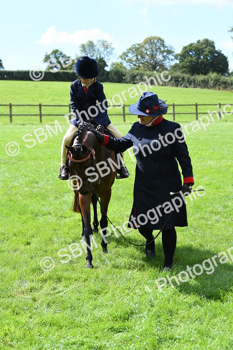SBM_41239 - S19 - Lead Rein Show & Show Hunter Pony