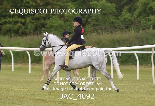 JAC_4092 - 40CM WORKING HUNTER