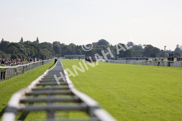 yr08102021r2-10 - Race 2 2.40pm Racing to School EBF Novice Stakes