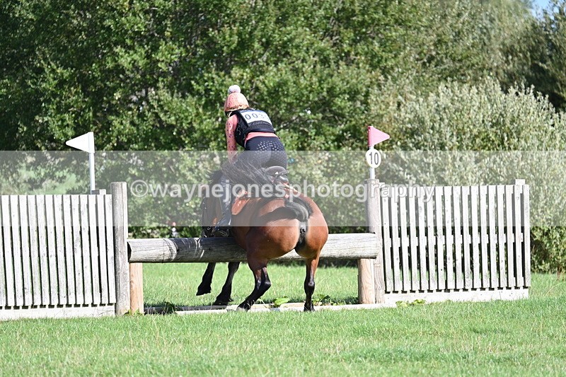 WJ7_1298 - Time 13:56 to 14:24