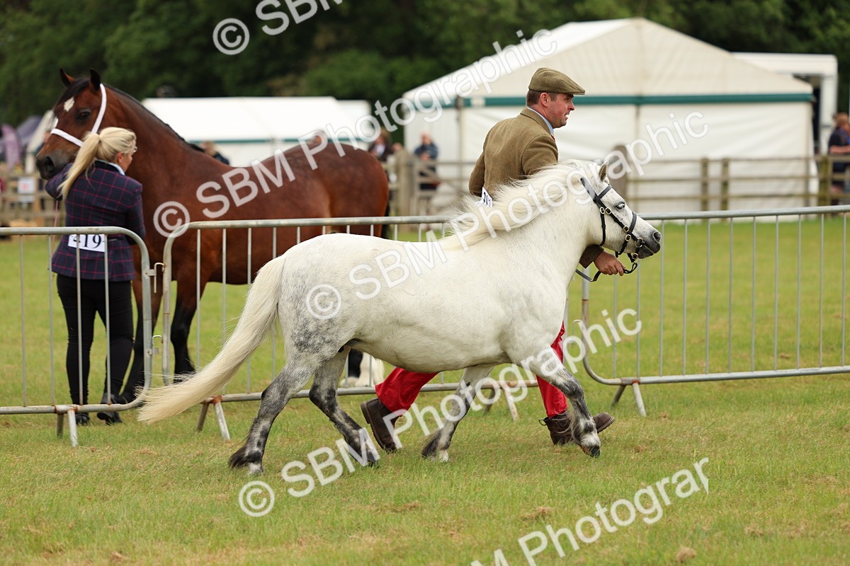 SBM_03514 - Class 58-67 - M&M Non Welsh Pony In hand