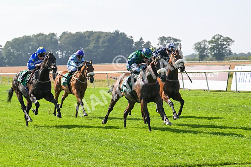 300824-Race 4-Tinto-5979 - Race 4