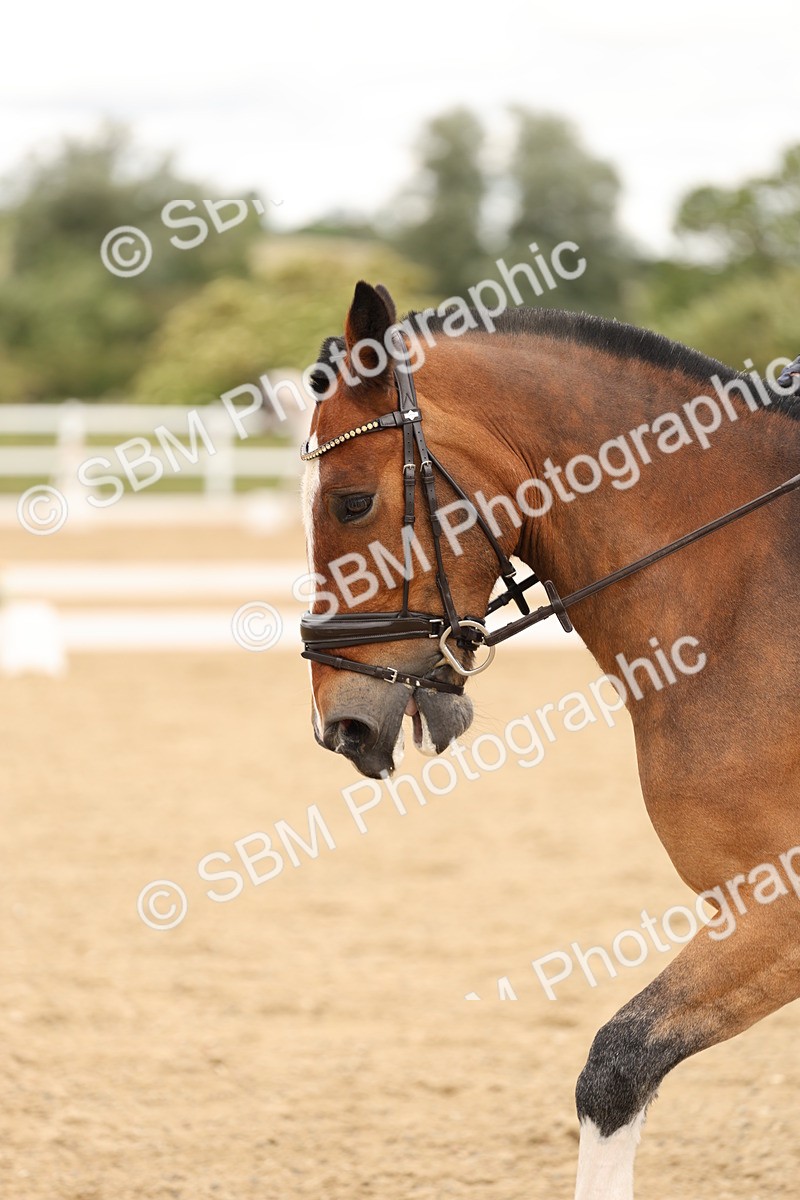 SBM_003452 - Class 6a - Novice 5 - 13.17-14.21