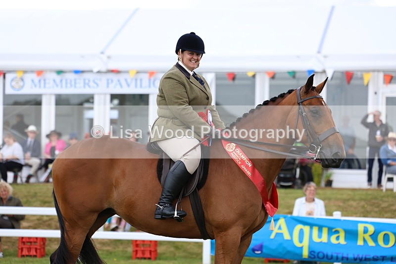 3E7A0680 - Rising Star Ridden Championship