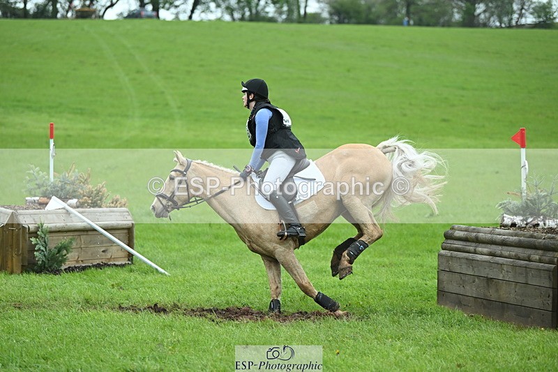 250419-130018-10728 - 523-Kate.Hicks-SWALLOWCROFT.STARDUST