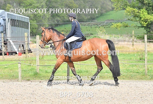 BPP_6708 - CLASS 2 FRI Club/ Unaffiliated 80cms Open