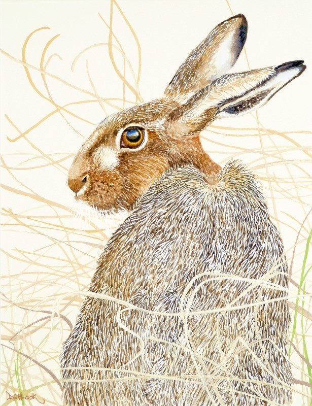 Shh! - British Wildlife